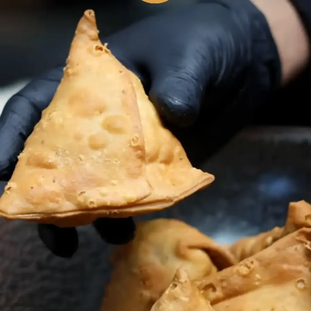 4-seasons chaat house new westminster samosa